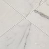 Msi Calacatta Gold 12 In. X 12 In. Polished Marble Floor And Wall Tile, 10PK ZOR-NS-0051